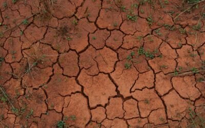 Étude de sol en PACA : obligations, types de missions et questions à se poser